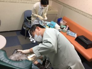 訪問歯科診療の様子（根管治療）