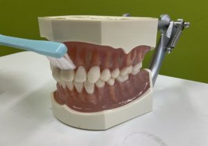 鳥取市　歯医者　V7　ブイセブン　歯ブラシ　歯周病予防