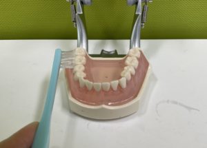 鳥取市　歯医者　V7　ブイセブン　歯ブラシ　歯周病予防