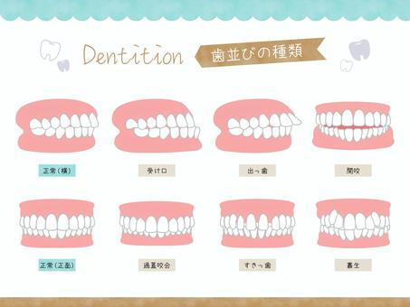 鳥取市　歯医者　矯正